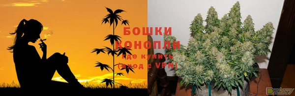 марихуана Гусиноозёрск