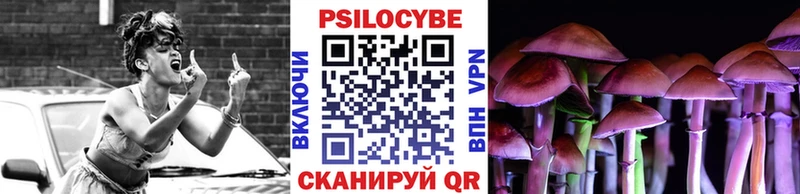 Псилоцибиновые грибы Psilocybe  продажа наркотиков  Новочеркасск 