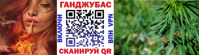Конопля план  Новочеркасск 
